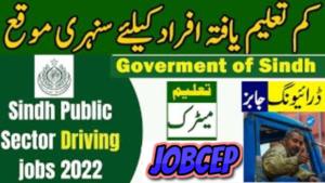 Best driving jobs in different sectors | Apply online 2023